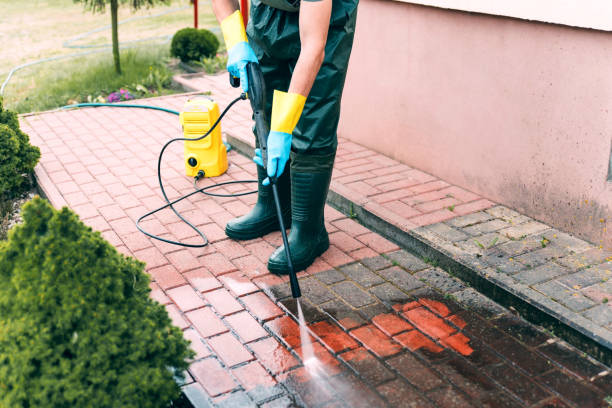 Best Building Exterior Washing  in Elkton, VA